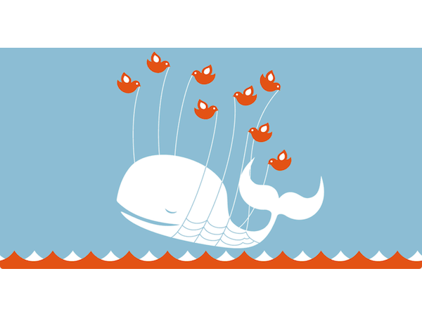 Image 1 : Twitter : les outils pour mieux tweeter