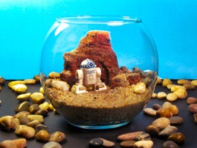 Image 2 : Des terrariums Star Wars pour un intérieur geek