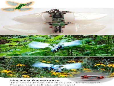 Image 2 : Un drone espion inspiré de la libellule