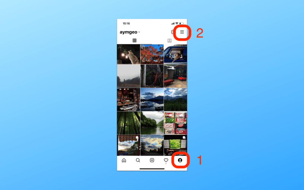 Download all Instagram photos