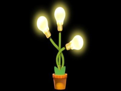 Image 3 : Des plantes capables de générer de la lumière