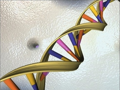 Image 1 : Sony va aider à décoder le génome humain