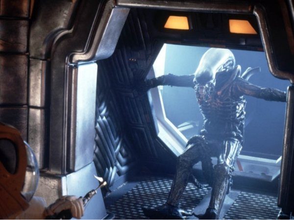 Image 18 : Les aliens les plus marquants du cinéma