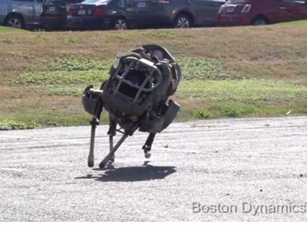 Image 1 : Wildcat, le nouveau robot-sprinter de Boston Dynamics
