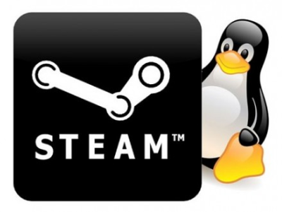 Image 1 : Steam OS : Valve mise tout sur Linux