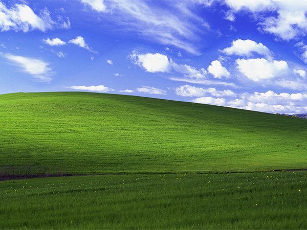 Image à la une de Windows XP : les secrets du plus célèbre des fonds d'écran