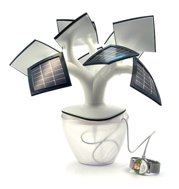 Image 3 : Electree Mini : le bonsaï qui fait office de chargeur solaire