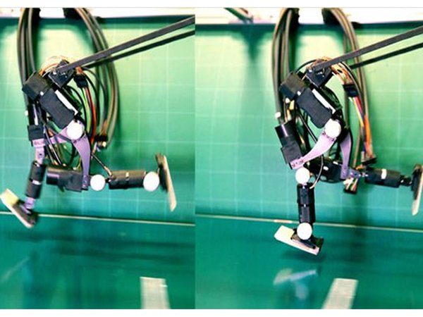Image 1 : Achires : le petit robot bipède qui court comme un humain