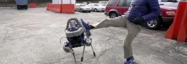 Image 3 : Spot, le robot qui veut remplacer votre chien