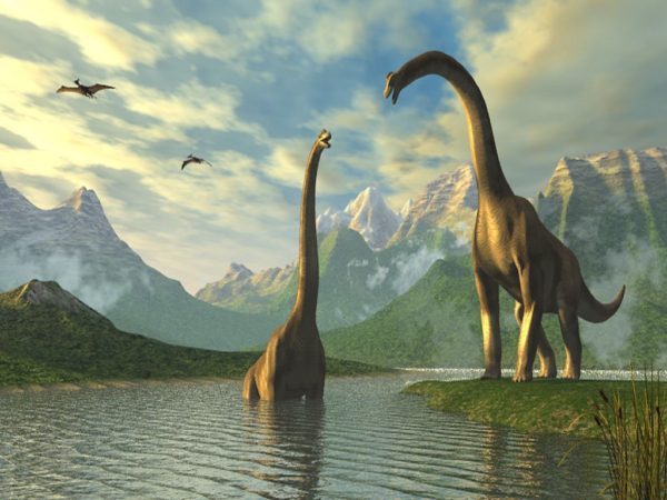 Image 1 : Jurassic Park a raison : le Brontosaure existe