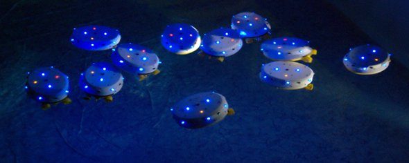 Image 2 : Des chercheurs créent un essaim de robots sous-marins