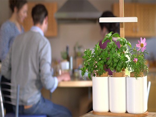 Image 1 : Un potager connecté pour cultiver ses plantes à la maison