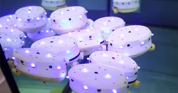 Image 3 : Des chercheurs créent un essaim de robots sous-marins