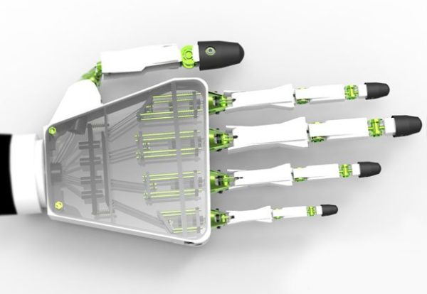 Image 2 : Une prothèse imprimée en 3D simule les 27 os de la main