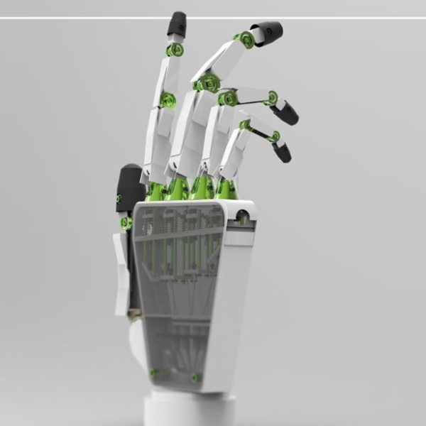 Image 3 : Une prothèse imprimée en 3D simule les 27 os de la main