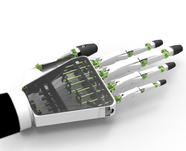 Image 4 : Une prothèse imprimée en 3D simule les 27 os de la main