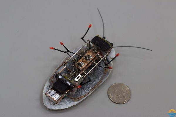 Image 2 : Des chercheurs créent un robot cafard en guise d’espion