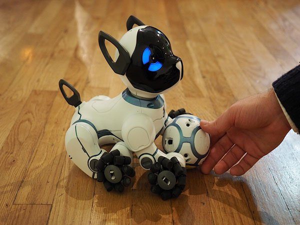 Image 1 : CHIP, le chien-robot qui communique avec un bracelet connecté