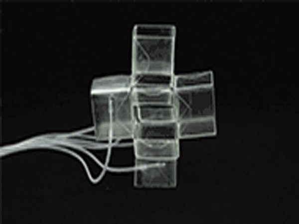 Image 2 : A l'université d'Harvard on invente des matériaux 3D déformables
