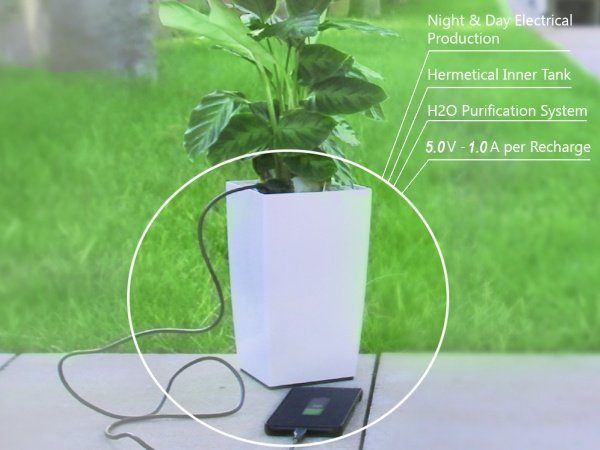 Image 1 : Bioo : rechargez votre téléphone avec une plante