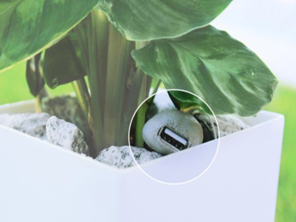 Image 2 : Bioo : rechargez votre téléphone avec une plante