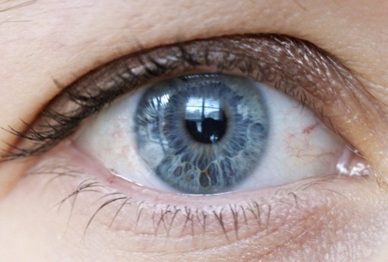 Image 1 : Google Deepmind veut utiliser son IA pour détecter les maladies oculaires