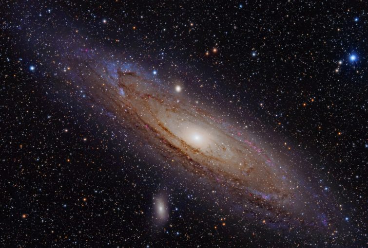Image 1 : Google Andromeda : deux appareils prévus pour le second semestre 2017