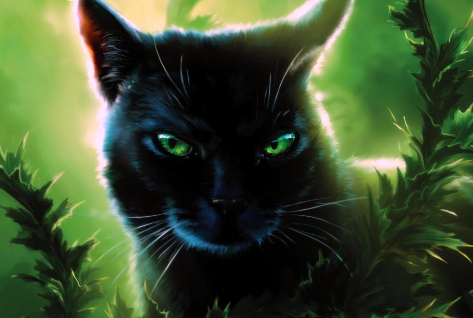 Image à la une de Cinéma : après Harry Potter, des chats dans une saga de fantasy