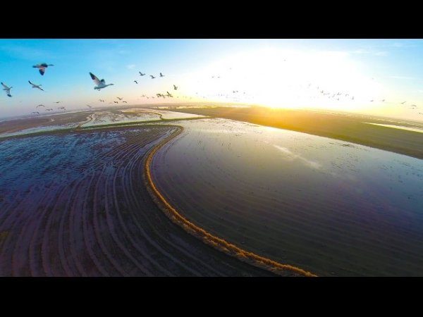 Image 24 : 40 incroyables photos prises par des drones