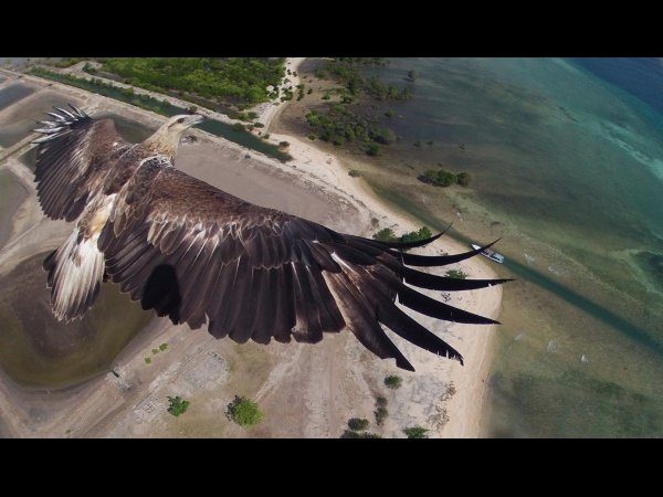 Image 16 : 40 incroyables photos prises par des drones