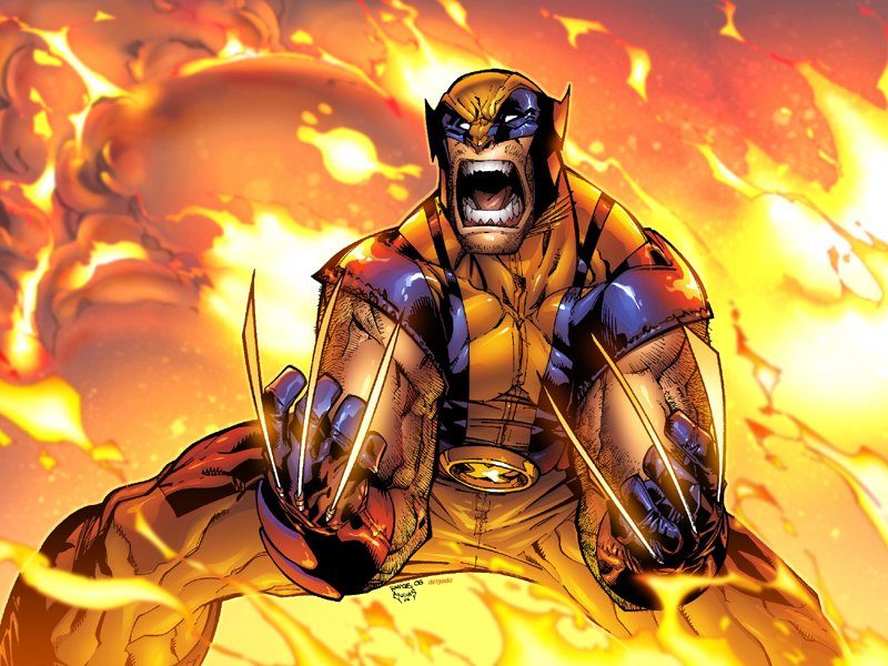 Image 12 : Wolverine : tout ce qu'il faut savoir sur le mutant le plus griffu du cinéma