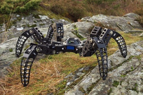 Image 1 : MX-Phoenix : le robot araignée qui fait flipper