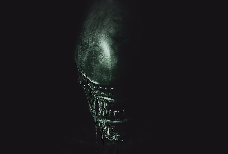 Image à la une de Alien : les 10 évolutions du monstre le plus flippant du cinéma