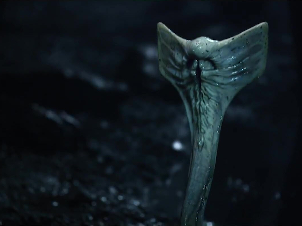 Image 8 : Alien : les 10 évolutions du monstre le plus flippant du cinéma