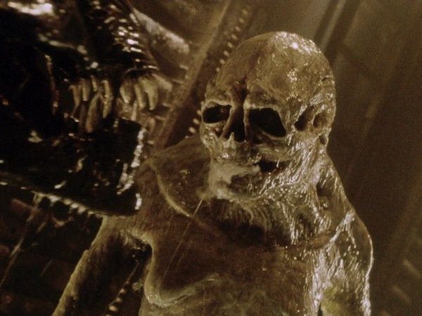 Image 7 : Alien : les 10 évolutions du monstre le plus flippant du cinéma