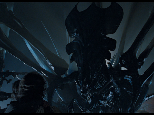 Image 5 : Alien : les 10 évolutions du monstre le plus flippant du cinéma