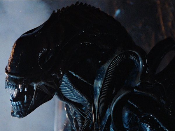 Image 4 : Alien : les 10 évolutions du monstre le plus flippant du cinéma