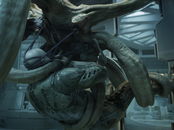 Image 9 : Alien : les 10 évolutions du monstre le plus flippant du cinéma