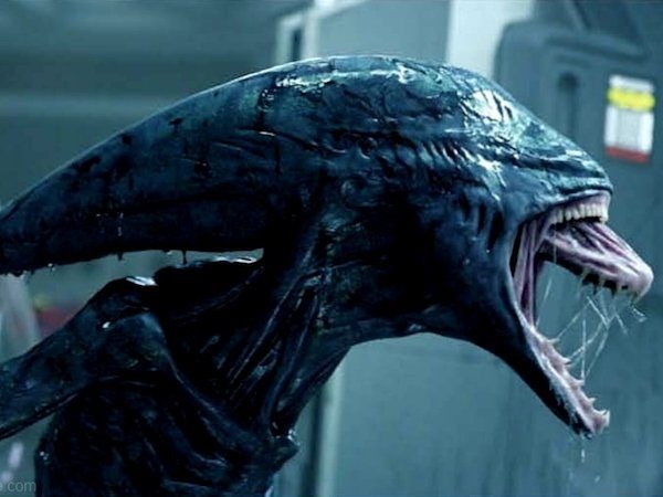 Image 10 : Alien : les 10 évolutions du monstre le plus flippant du cinéma