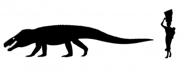 Image 2 : Ce crocodile préhistorique était plus dangereux que les dinosaures