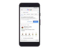 Image 1 : Google ajoute les prévisions de pollen dans son moteur de recherche