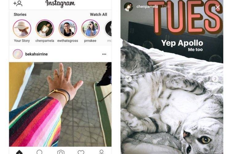 Image 1 : Instagram : les Stories sont enfin disponibles sur la version web