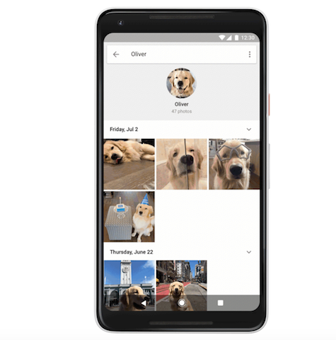 Image 2 : Google Photos est désormais capable de reconnaître votre chien/chat