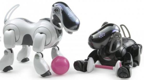 Image 1 : Sony devrait ressusciter Aibo, son chien robot
