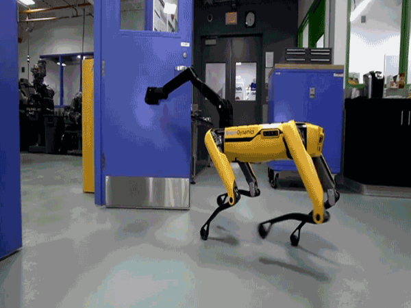 Image 1 : Tremblez ! Le chien robot de Boston Dynamics sait ouvrir des portes fermées