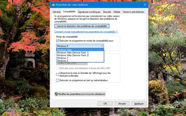 Image 16 : Windows 10 : tout plante, rien ne marche, comment dépanner son PC ?