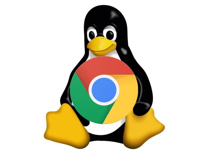 Image 1 : Les apps Linux dans Chrome OS, c'est pour bientôt