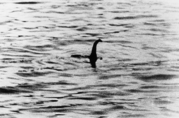 Image 1 : Recherche du monstre du Loch Ness : et maintenant des tests ADN