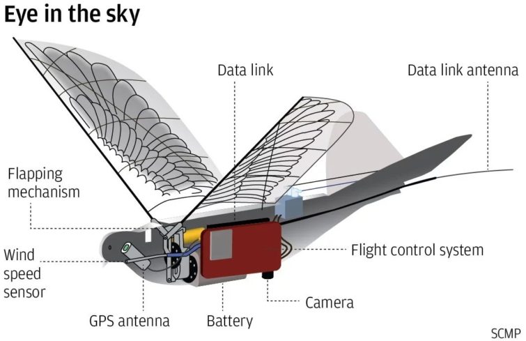 Image 1 : En Chine, des drones oiseaux pour surveilles les habitants