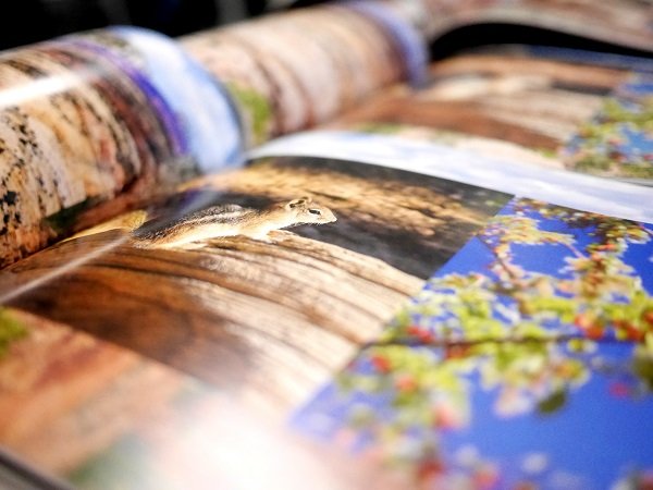 Image 22 : Livre photo : quel est le meilleur service d'album photo ?